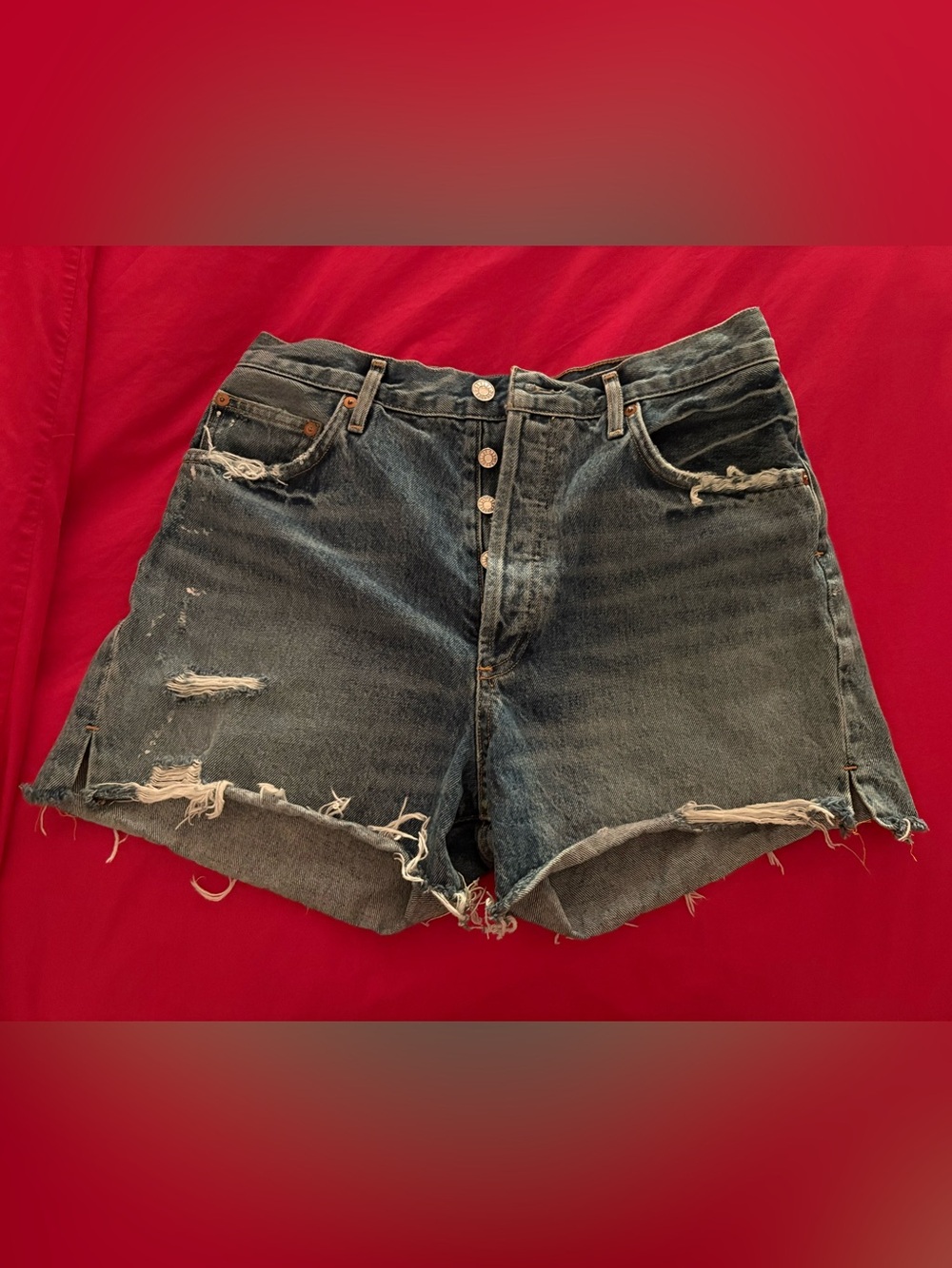 AGOLDE Dee Shorts
